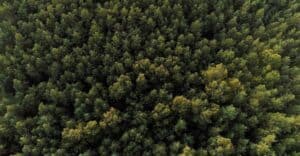 What Is Evergreen Content?